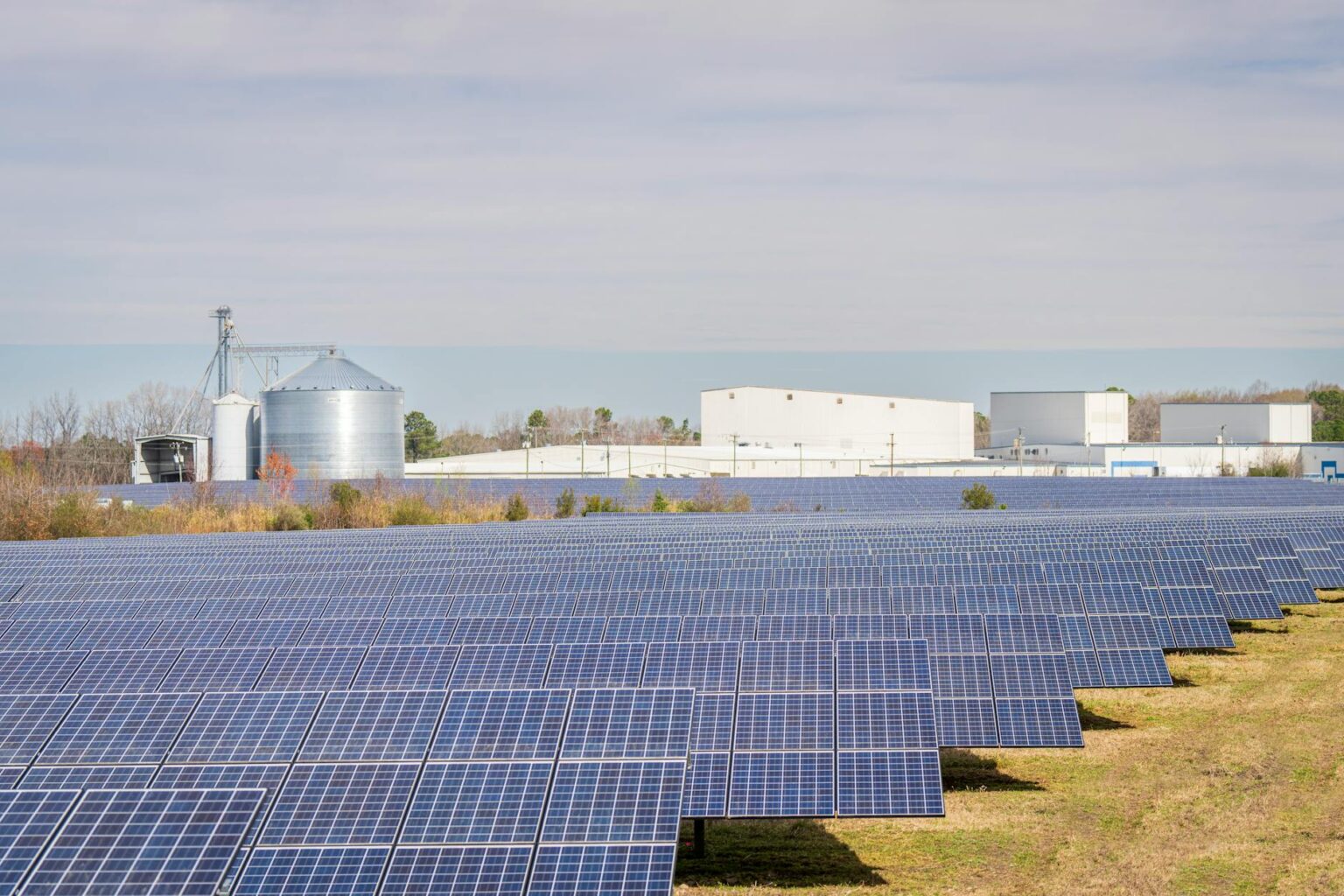 Large-scale solar panel installation in open field representing corporate renewable energy investments