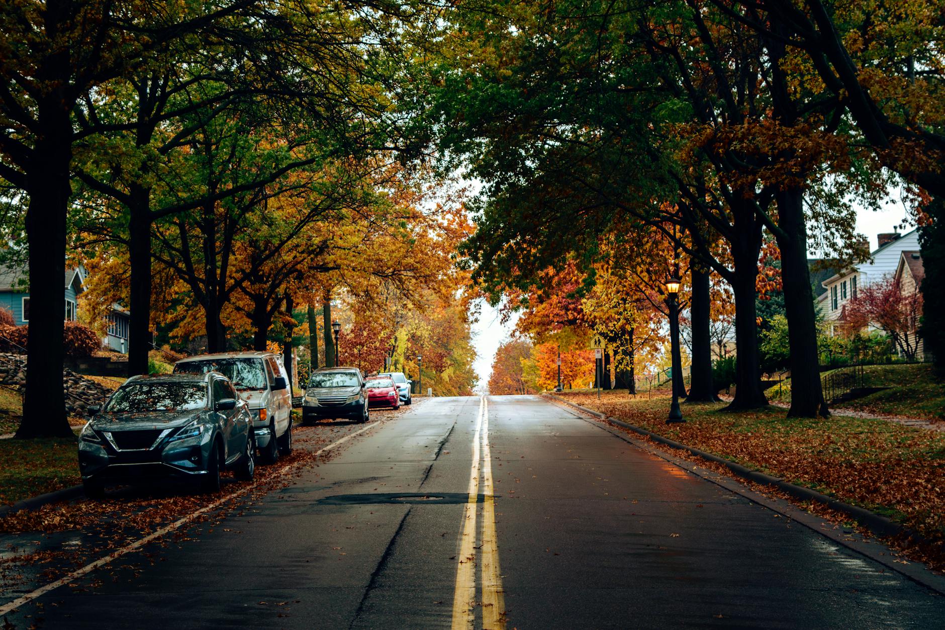 Suburban residential street showing homes and community affected by school district performance