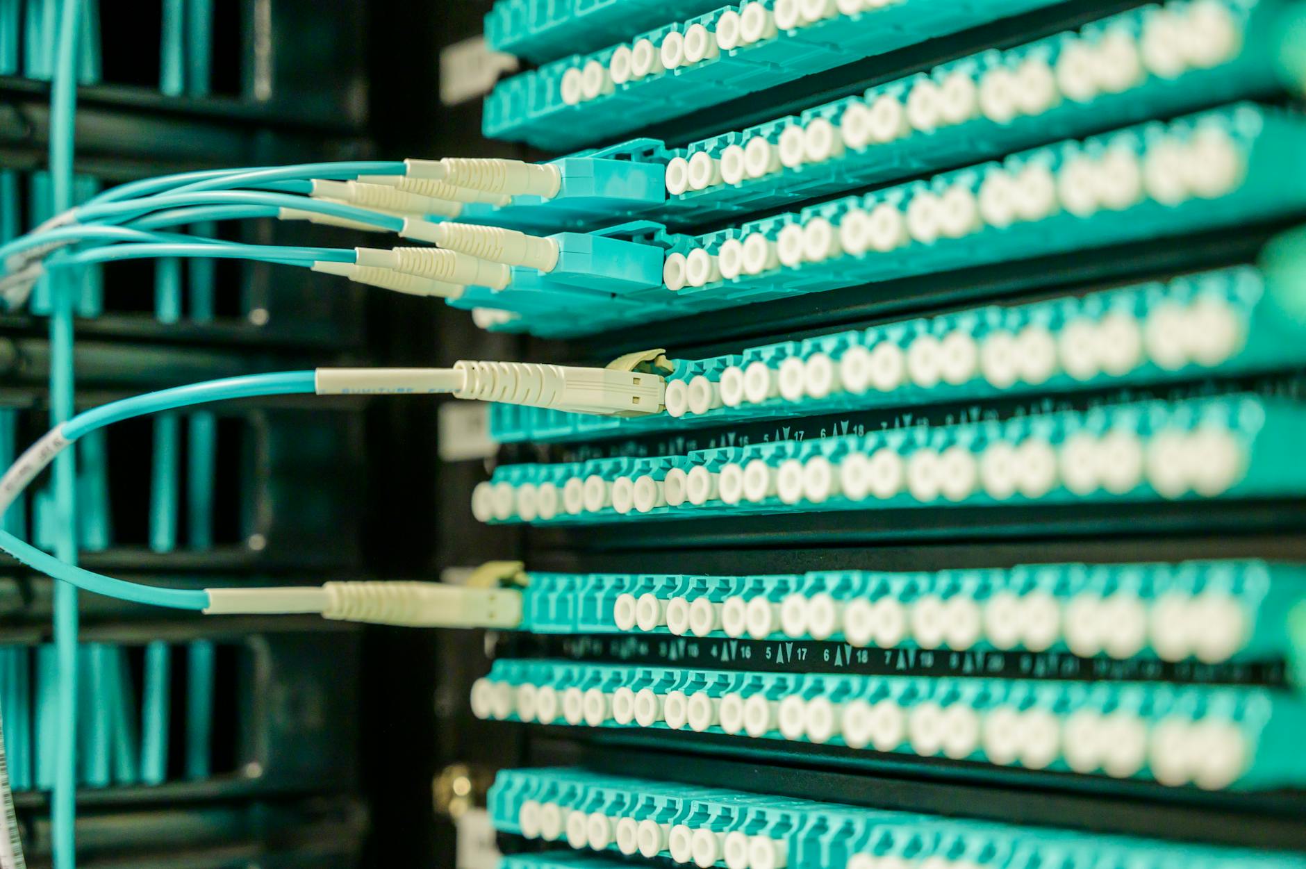 Close-up of fiber optic cables and networking infrastructure equipment
