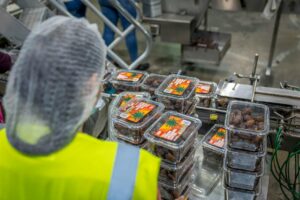 Industrial lettuce processing and packaging facility with conveyor systems