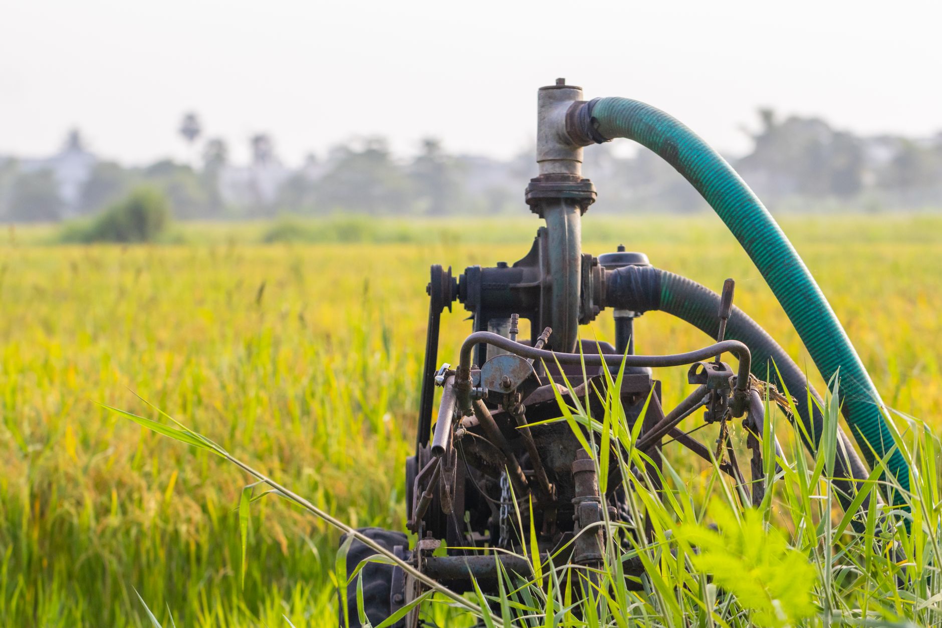 Oil pump jack operating in an open field representing crude production infrastructure