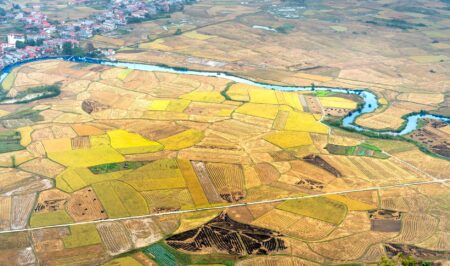 Rural community members gathered near farmland to protest industrial development