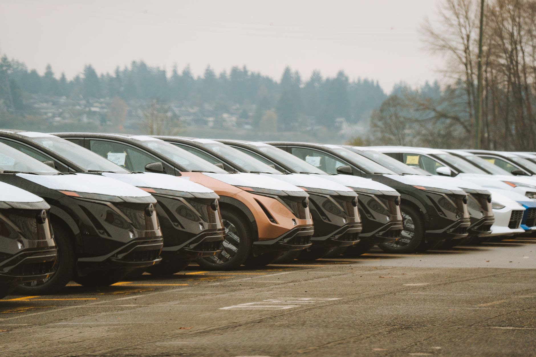 Row of small cars parked at an automobile dealership showroom