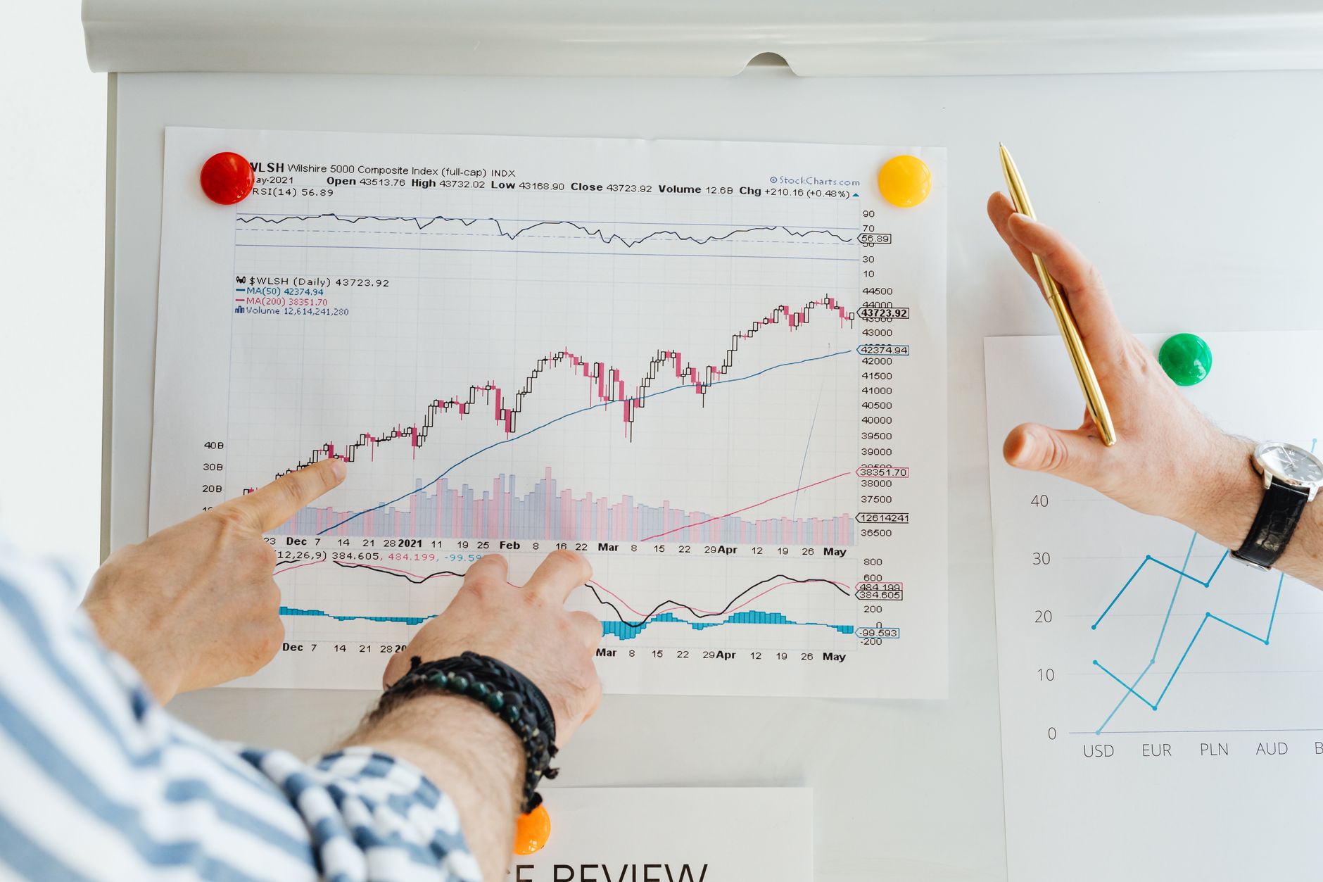 Investor reviewing portfolio allocation between healthcare and biotech funds