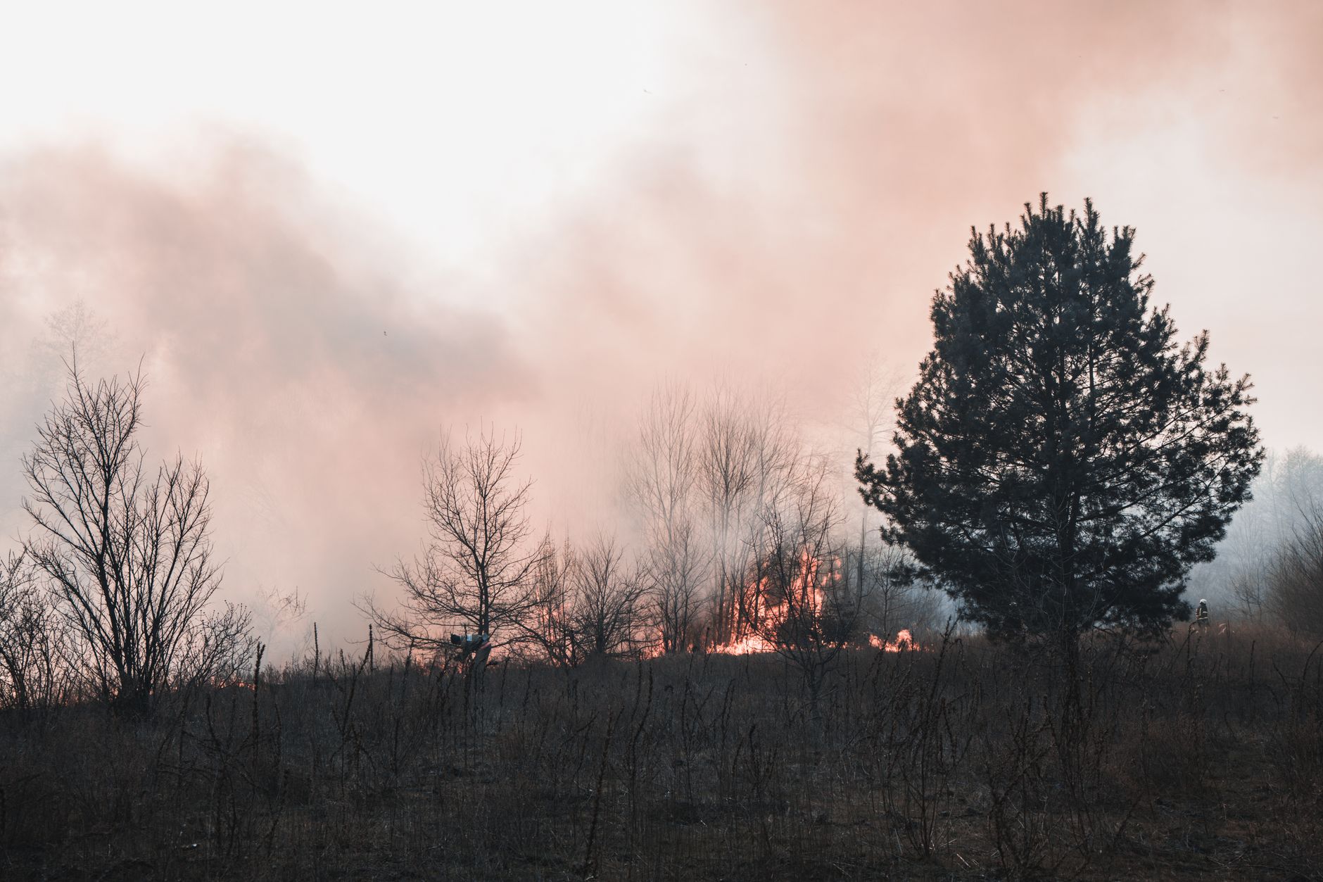 Wildfire burning near residential area illustrating insurance risk repricing